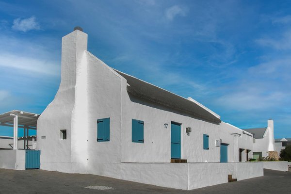 Comment organiser une croisière pour observer les baleines bleues en mer de Cortez?