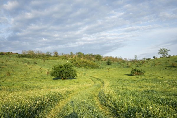 Prendre un taxi aéroport lyon saint-exupéry : l'expérience du transfert en toute sérénité