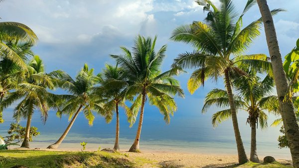 Peut-on trouver une croisière qui propose des cours de cuisine italienne avec des chefs locaux?